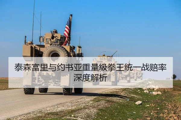 泰森富里与约书亚重量级拳王统一战赔率深度解析