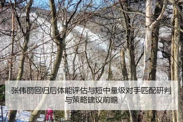 zhang-wei-li-hui-gui-hou-ti-neng-ping-gu-yu-duan-zhong-liang-ji-dui-shou-pi-pei-yan-pan-yu-ce-lve-jian-yi-qian-zhan-2-789.jpg